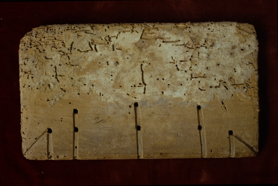 Roma, Biblioteca Vallicelliana, Ms. E.52/1-2
icpal_12269
Keywords: Vallicelliana Ms. E.52/1-2, Vallicelliana