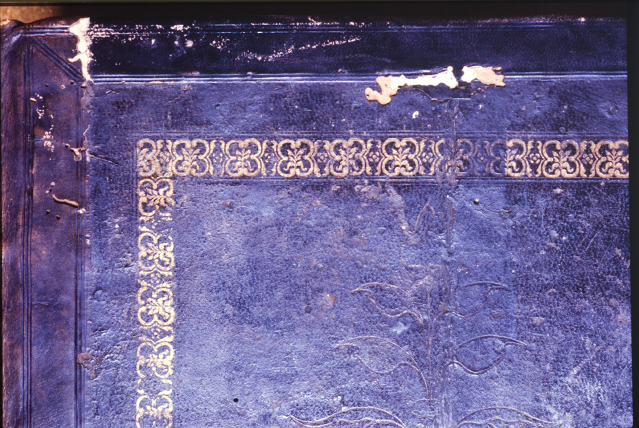 Imola, Biblioteca Comunale, AULA MAGNA F.3.2
icpal_12483
Keywords: BCom Imola AULA MAGNA F.3.2, IGI 969, BCom Imola