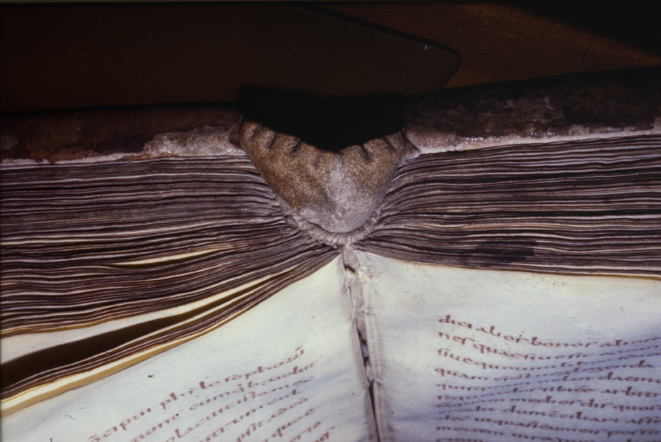 St. Gallen, Stiftsbibliothek St. Gallen, Cod. Sang. 177
icpal_12668
Keywords: St. Gallen Stiftsbibliothek Cod. Sang. 177, St. Gallen Stiftsbibliothek