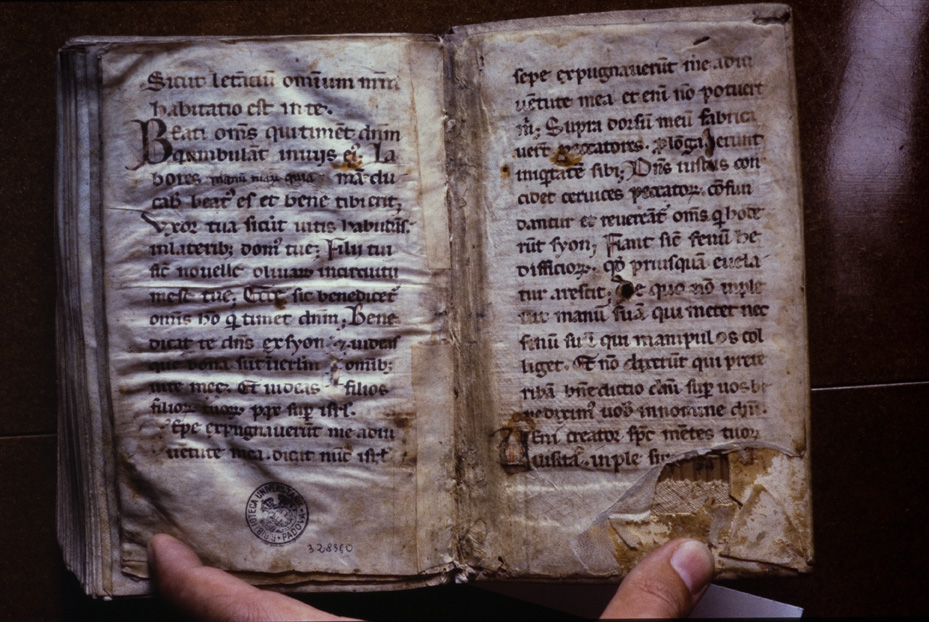 Padova, Biblioteca Universitaria, Ms. 469
icpal_13419
Keywords: UniPD Ms. 469, UniPD