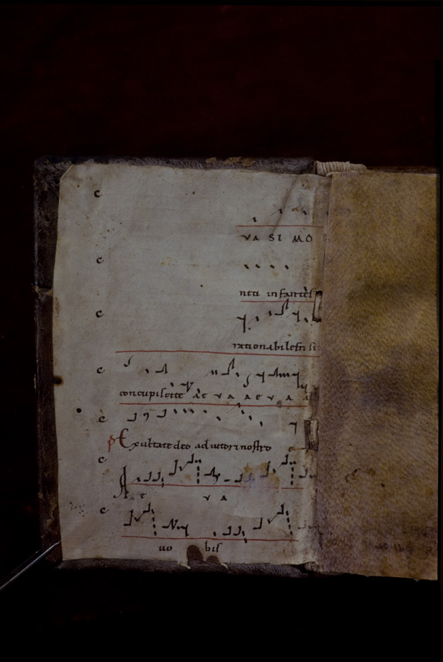 Assisi, Biblioteca Storico Francescana della Chiesa Nuova, Ms. 3
icpal_15393
Keywords: Assisi B Chiesa Nuova Ms. 3, Assisi B Chiesa Nuova