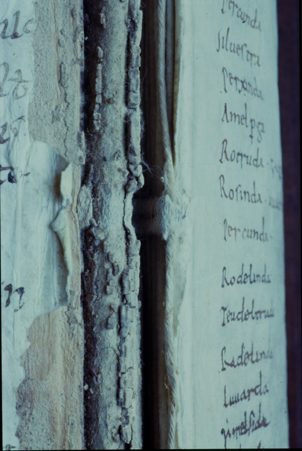 Brescia, Biblioteca Civica Queriniana, Ms. G.VI.7
icpal_17017
Keywords: Queriniana Ms. G.VI.7, Queriniana