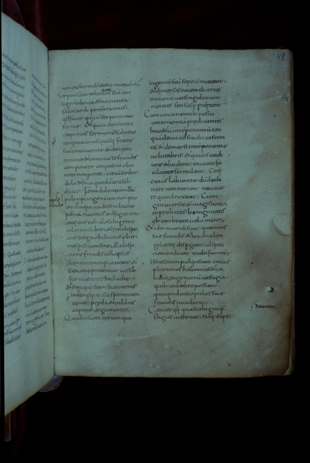 Verona, Biblioteca Capitolare, XXVII (25)
icpal_17071
Keywords: BCap Verona XXVII (25), BCap Verona