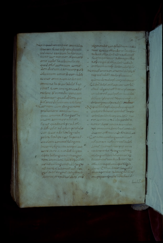 Verona, Biblioteca Capitolare, XXVII (25)
icpal_17074
Keywords: BCap Verona XXVII (25), BCap Verona