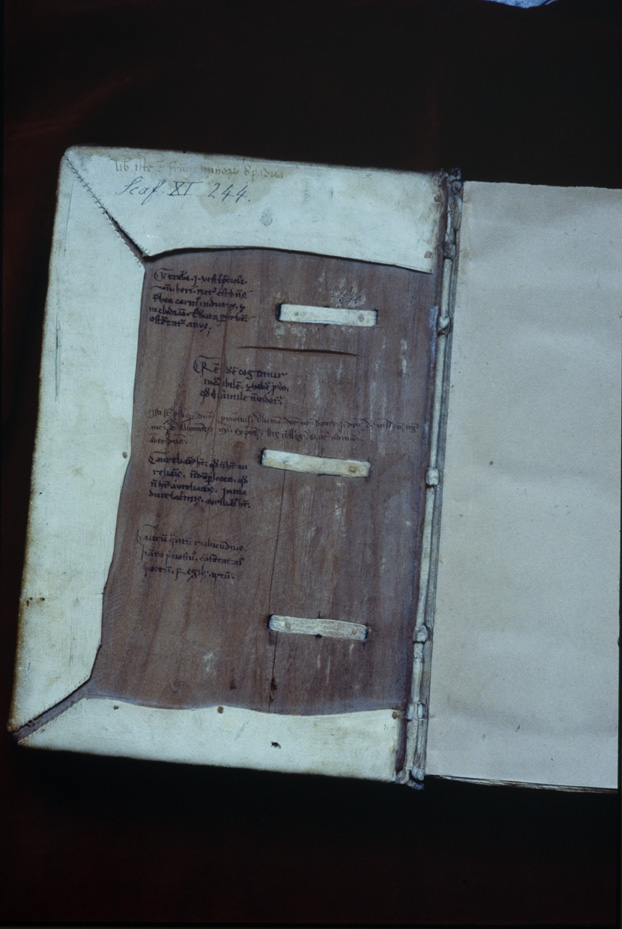 Padova, Biblioteca Antoniana, Ms. 244
icpal_17452
Keywords: Padova Antoniana Ms. 244, Padova Antoniana