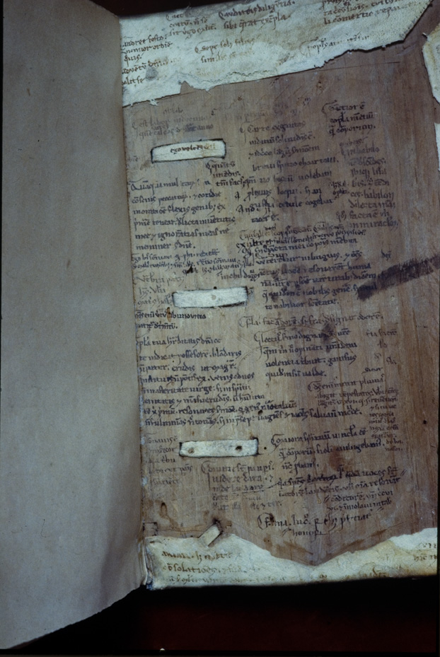 Padova, Biblioteca Antoniana, Ms. 244
icpal_17457
Keywords: Padova Antoniana Ms. 244, Padova Antoniana