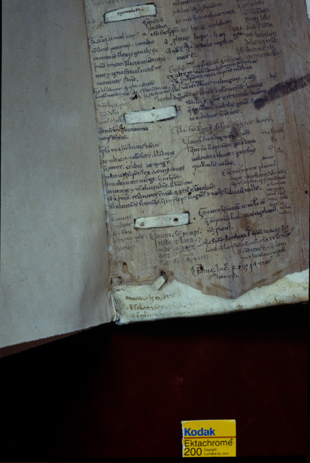 Padova, Biblioteca Antoniana, Ms. 244
icpal_17458
Keywords: Padova Antoniana Ms. 244, Padova Antoniana