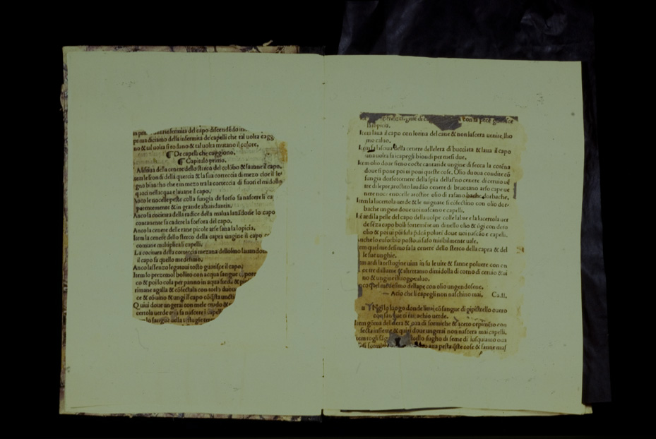 Biblioteca Statale del Monumento Nazionale di Grottaferrata, IGI 5237
icpal_19179
Keywords: Grottaferrata Abbazia IGI 5237, IGI 5237, Incunaboli, Grottaferrata Abbazia