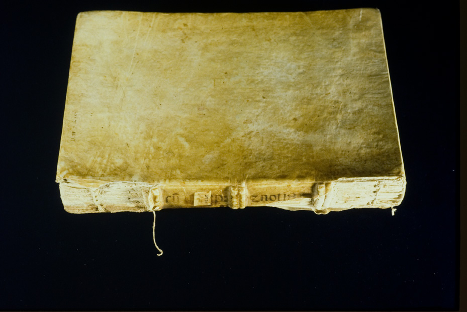 Poggio Mirteto, Biblioteca del Seminario Vescovile, Inv. 10245
icpal_19671
Keywords: Poggio Mirteto B Seminario Vescovile Inv. 10245, IGI 9146, Poggio Mirteto B Seminario Vescovile