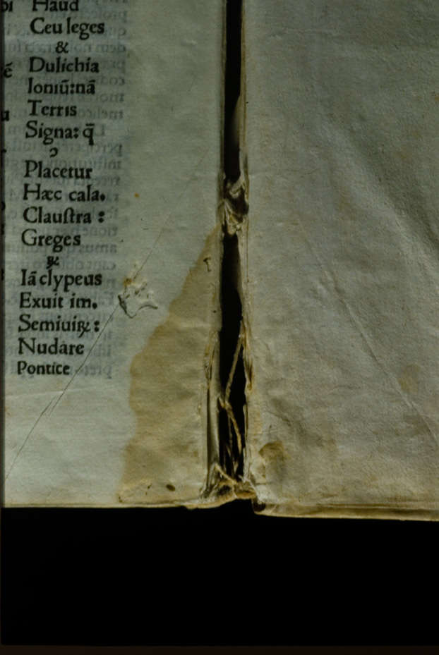 Poggio Mirteto, Biblioteca del Seminario Vescovile, Inv. 10245
icpal_19679
Keywords: Poggio Mirteto B Seminario Vescovile Inv. 10245, IGI 9146, Poggio Mirteto B Seminario Vescovile