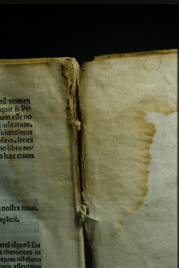 Poggio Mirteto, Biblioteca del Seminario Vescovile, Inv. 10245
icpal_19680
Keywords: Poggio Mirteto B Seminario Vescovile Inv. 10245, IGI 9146, Poggio Mirteto B Seminario Vescovile