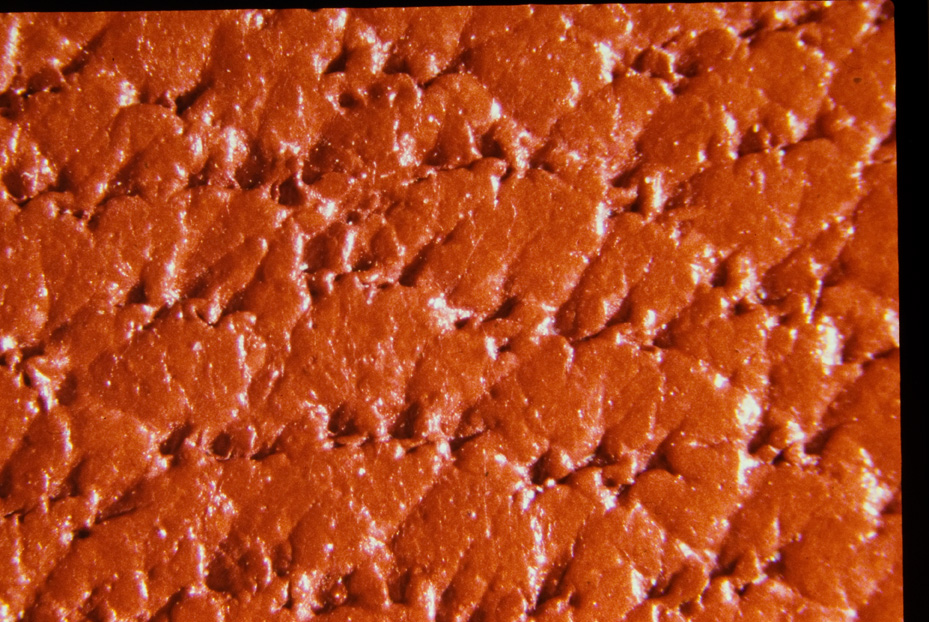 Microfotografia. Ricerca e diagnostica sui materiali
icpal_14633
Keywords: ICPL, Diagnostica materiali, Microfotografie