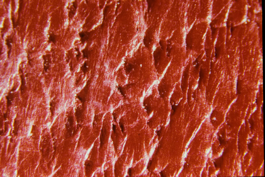 Microfotografia. Ricerca e diagnostica sui materiali
icpal_14636
Keywords: ICPL, Diagnostica materiali, Microfotografie