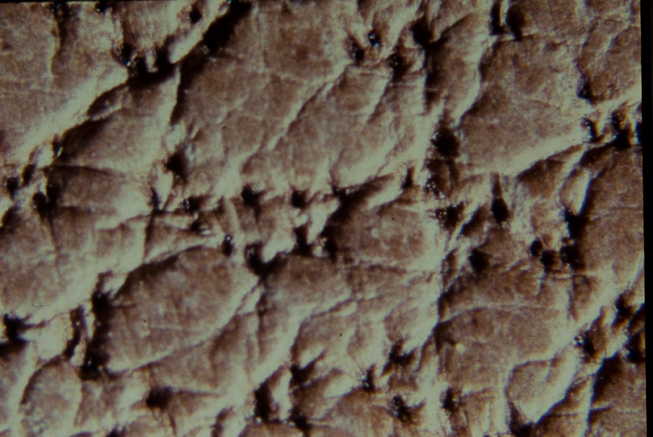 Microfotografia. Ricerca e diagnostica sui materiali
icpal_14638
Keywords: ICPL, Diagnostica materiali, Microfotografie