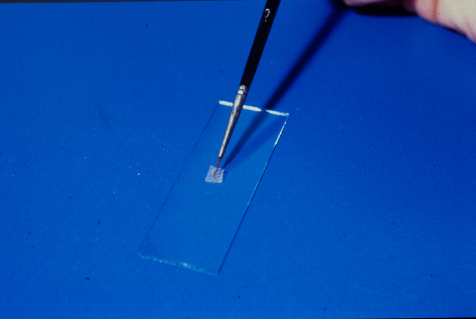 Ricerca e diagnostica. Laboratorio di tecnologia
icpal_14899
Keywords: ICPL sezione lignea, ICPL