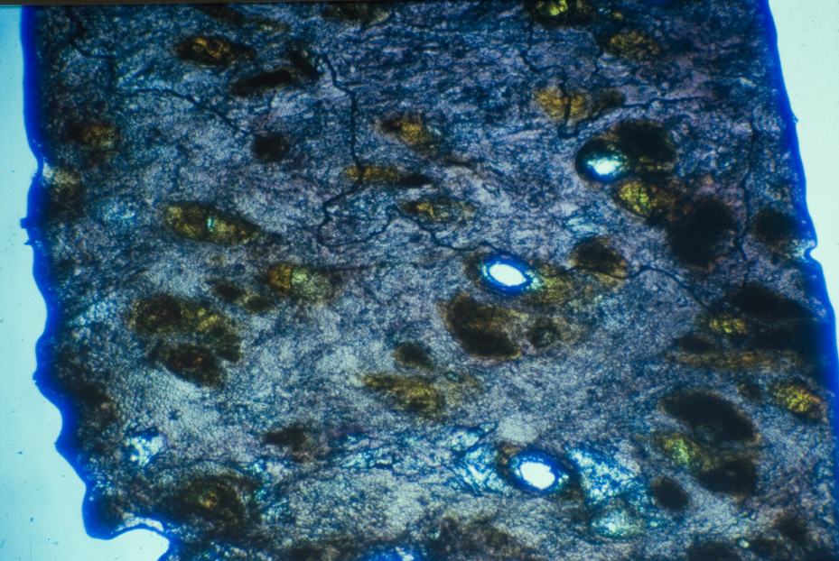 Microfotografia. Studi per l'identificazione della specie
icpal_15025
Keywords: ICPL Studi indentificazione specie, Microfotografie, ICPL