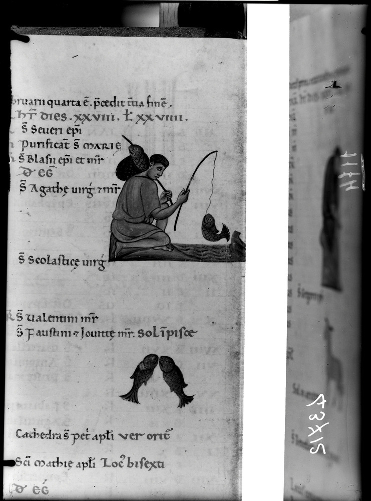 Firenze, Biblioteca Medicea Laurenziana, Acquisti e doni 181
doc_01174
Keywords: Laurenziana Acquisti e doni 181, 12. sec., Laurenziana