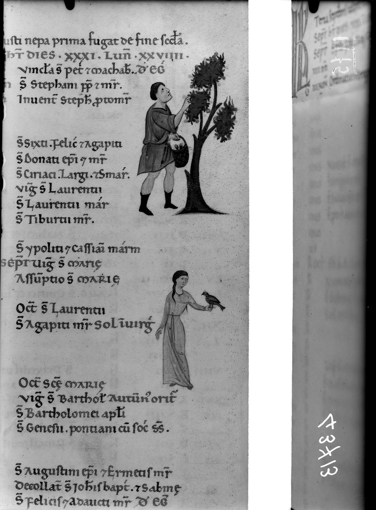 Firenze, Biblioteca Medicea Laurenziana, Acquisti e doni 181
doc_01175
Keywords: Laurenziana Acquisti e doni 181, 12. sec., Laurenziana