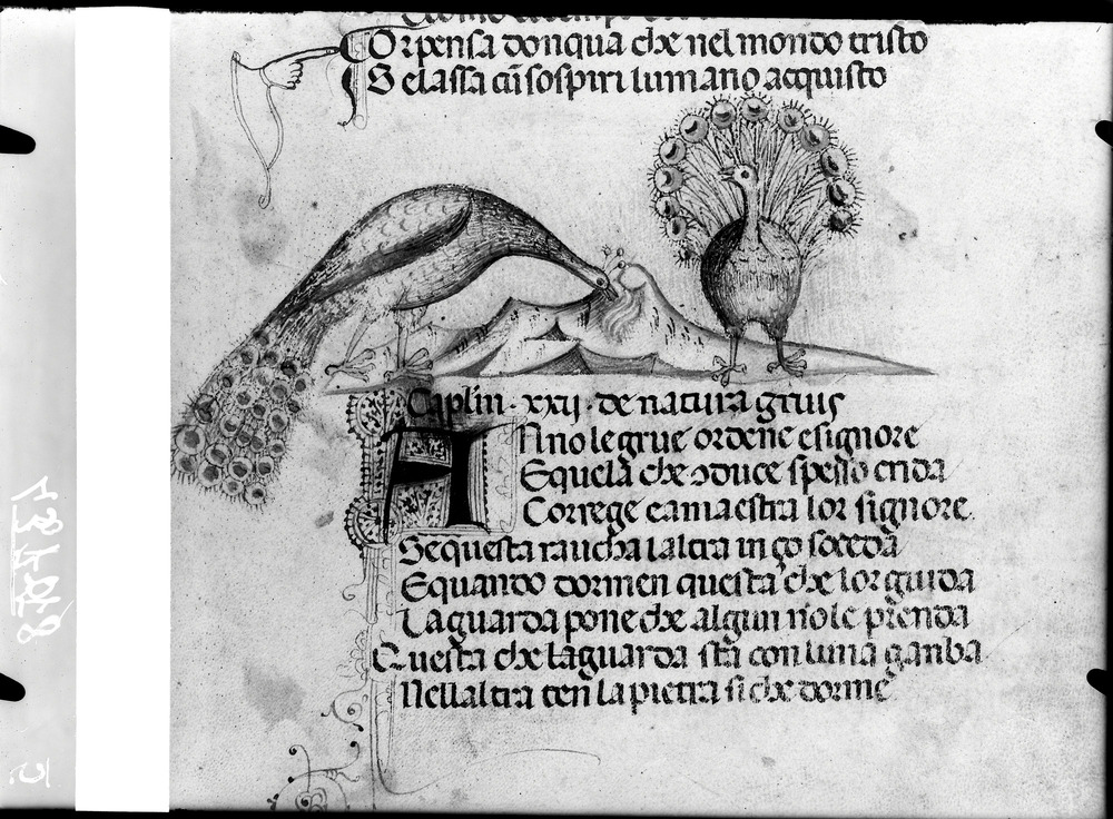 Firenze, Biblioteca Medicea Laurenziana, Plut. 40.52
doc_01219
Keywords: Laurenziana Plut. 40.52, Laurenziana