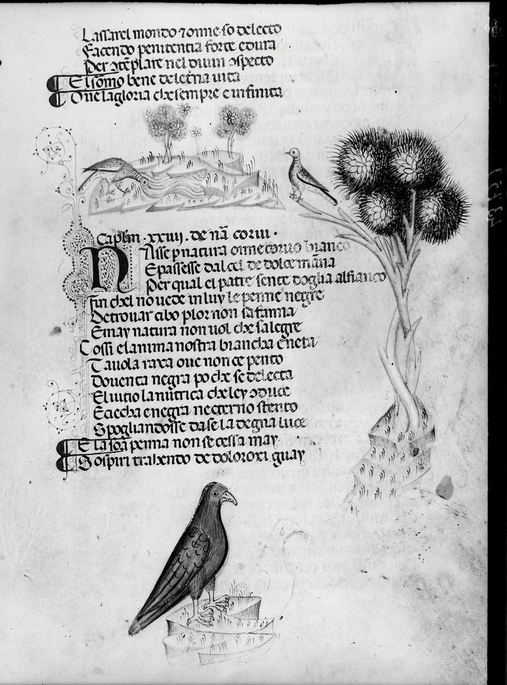 Firenze, Biblioteca Medicea Laurenziana, Plut. 40.52
doc_01220
Keywords: Laurenziana Plut. 40.52, Laurenziana
