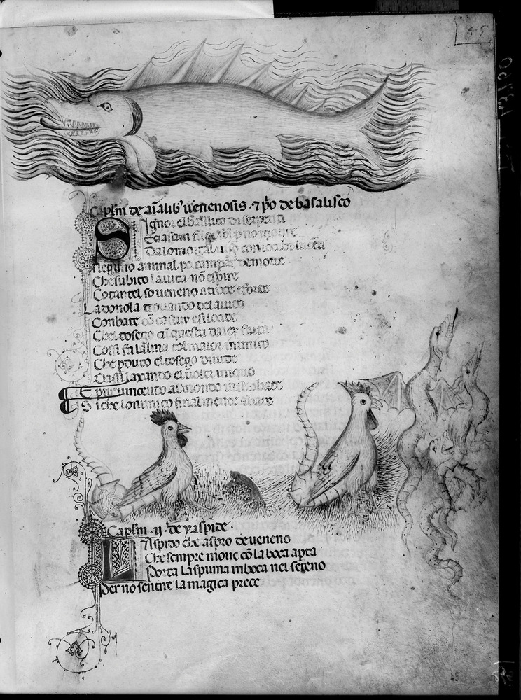 Firenze, Biblioteca Medicea Laurenziana, Plut. 40.52
doc_01221
Keywords: Laurenziana Plut. 40.52, Laurenziana