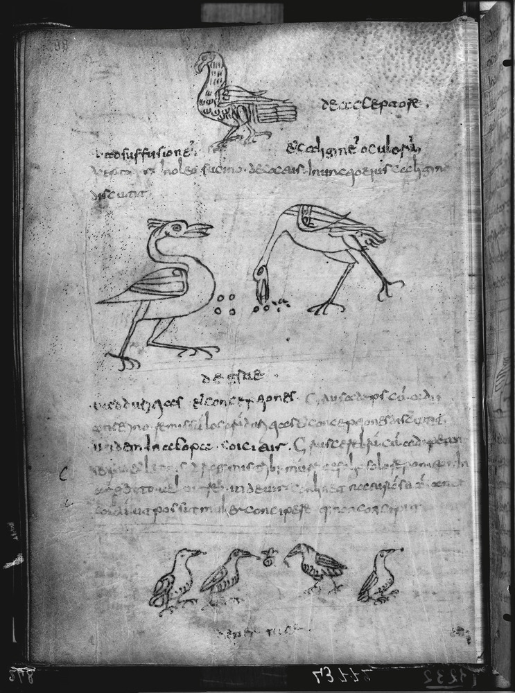 Firenze, Biblioteca Medicea Laurenziana, Plut. 73.41
doc_01232
Keywords: Laurenziana Plut. 73.41, 9. sec., Laurenziana