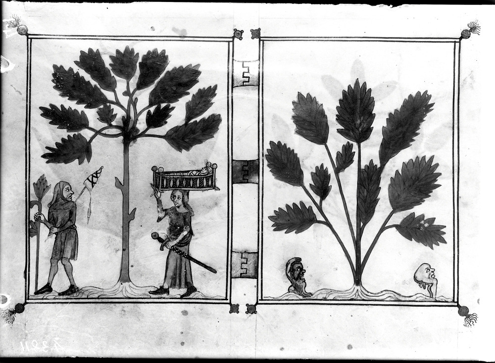 Firenze, Biblioteca Nazionale Centrale, Ms. Palat. 586
doc_01266
Keywords: BNCF Ms. Palat. 586, BNCF