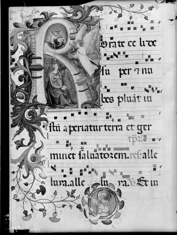 Firenze, Museo di San Marco, Cor. B [14. sec.]
doc_01293
Keywords: Firenze M S. Marco Cor. B [14. sec.], Decorazioni zoomorfe, Firenze M S. Marco