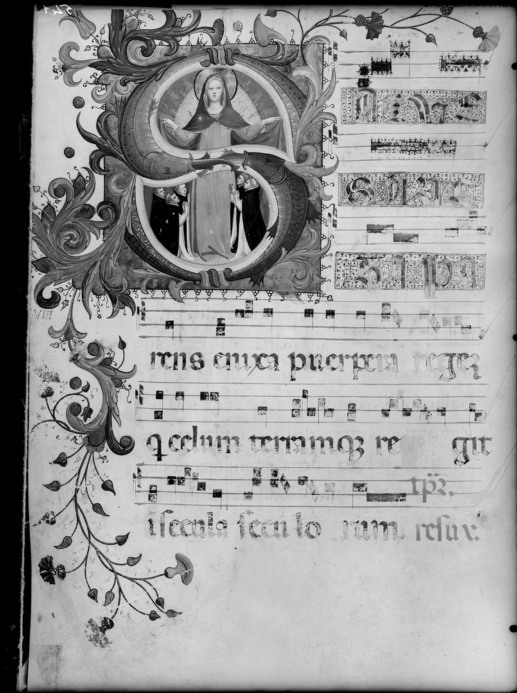 Firenze, Museo di San Marco, Cor. B [14. sec.]
doc_01299
Keywords: Firenze M S. Marco Cor. B [14. sec.], Decorazioni zoomorfe, Firenze M S. Marco