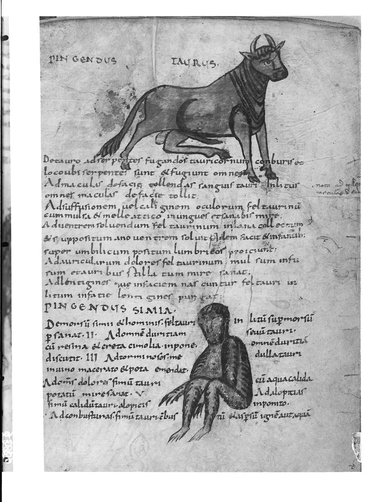 Lucca, Biblioteca statale, Ms. 296
doc_01306
Keywords: Lucca B Statale Ms. 296, 9. sec., Lucca B Statale