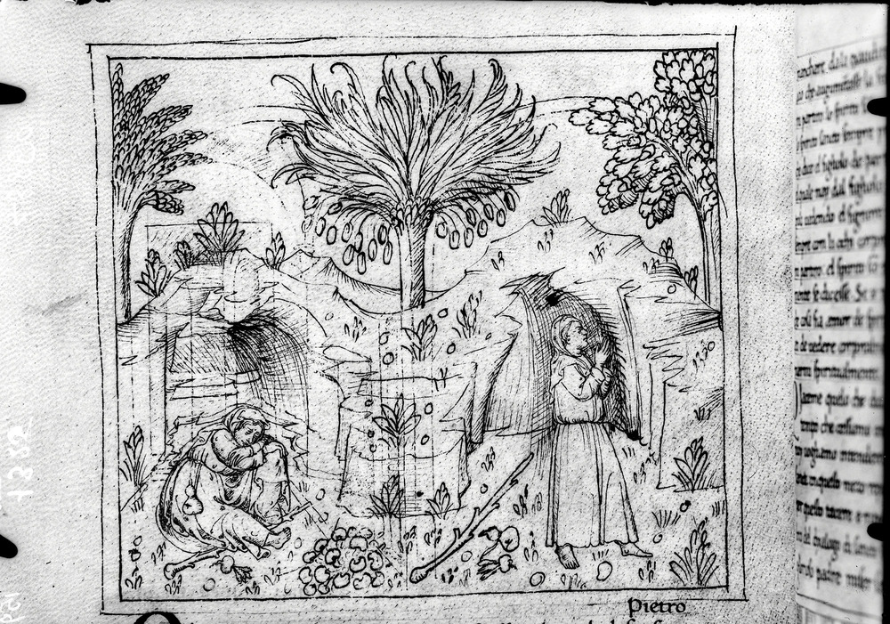 Mantova, Biblioteca Comunale Teresiana, Ms. B.IV.13
doc_01325
Keywords: Teresiana Ms. B.IV.13, Teresiana