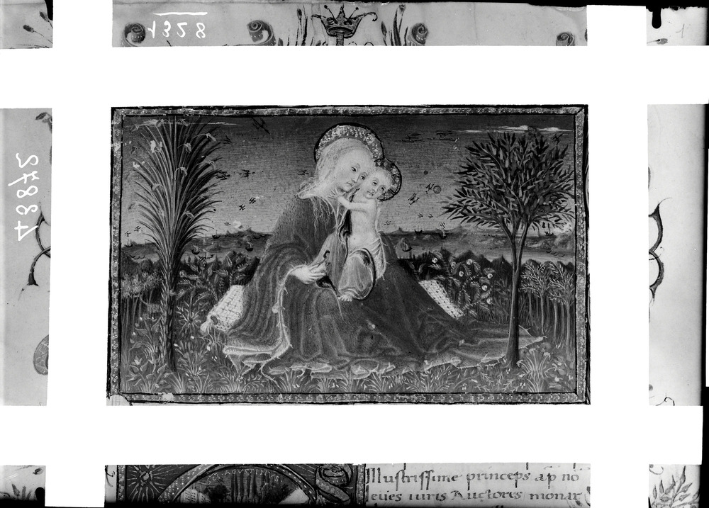 Milano, Archivio Storico Civico e Biblioteca Trivulziana, Ms. 138
doc_01328
Keywords: Trivulziana Ms. 138, Trivulziana