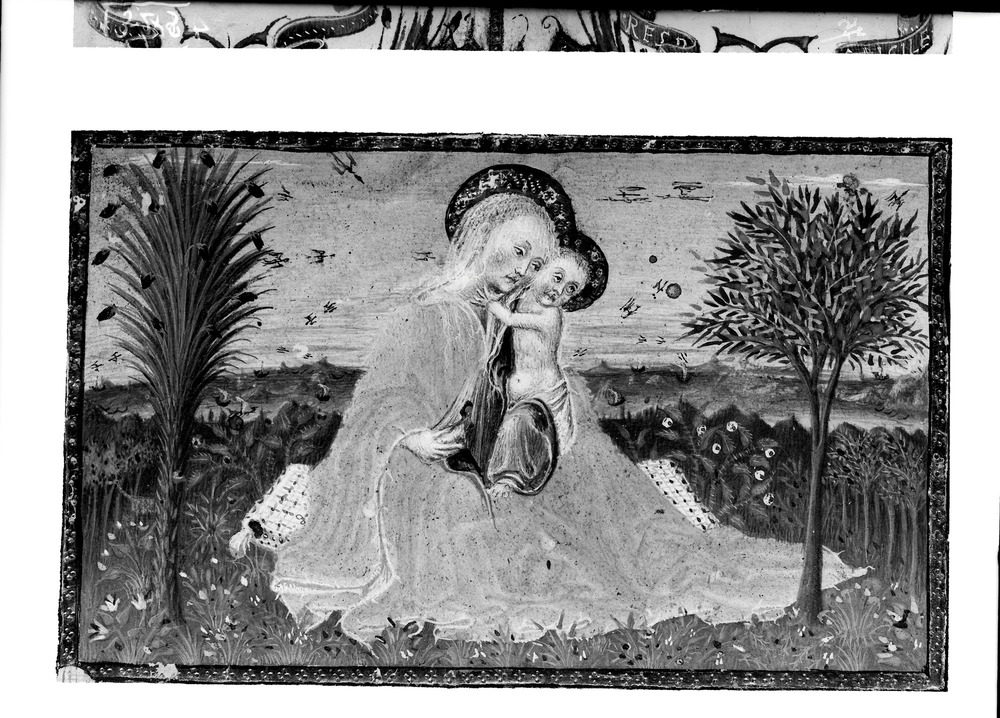 Milano, Archivio Storico Civico e Biblioteca Trivulziana, Ms. 138
doc_01329
Keywords: Trivulziana Ms. 138, Trivulziana