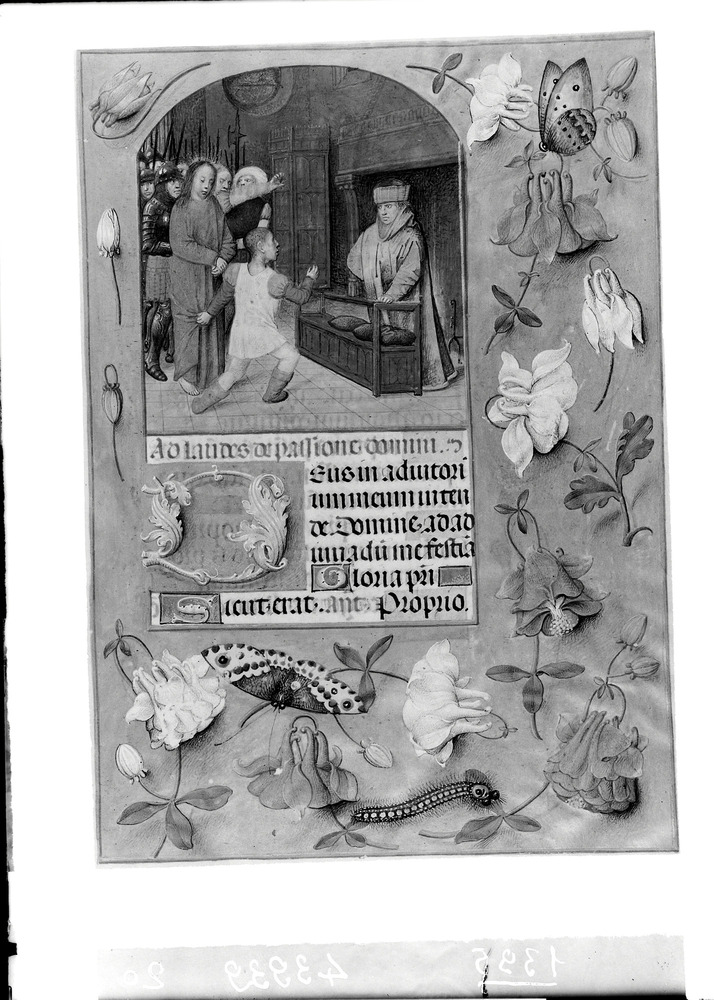 Napoli, Biblioteca Nazionale Vittorio Emanuele 3., Ms. I.B.51
doc_01395
Keywords: BNN Ms. I.B.51, Decorazioni zoomorfe, BNN