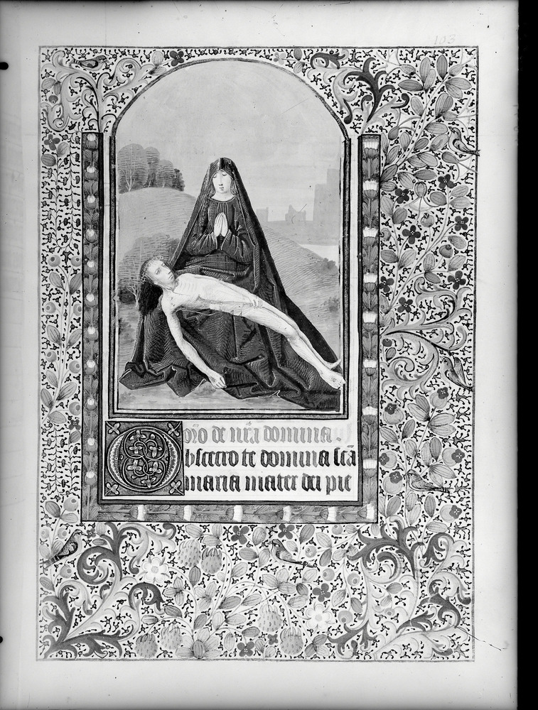 Roma, Biblioteca dell'Accademia Nazionale dei Lincei e Corsiniana, Ms. Cors. 1231
doc_01494
Keywords: Lincei-Corsiniana Ms. 1231, Decorazioni zoomorfe, Lincei-Corsiniana