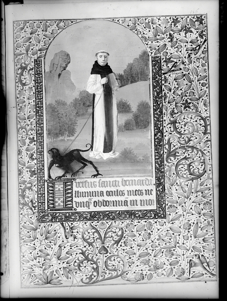 Roma, Biblioteca dell'Accademia Nazionale dei Lincei e Corsiniana, Ms. Cors. 1231
doc_01495
Keywords: Lincei-Corsiniana Ms. 1231, Decorazioni zoomorfe, Lincei-Corsiniana