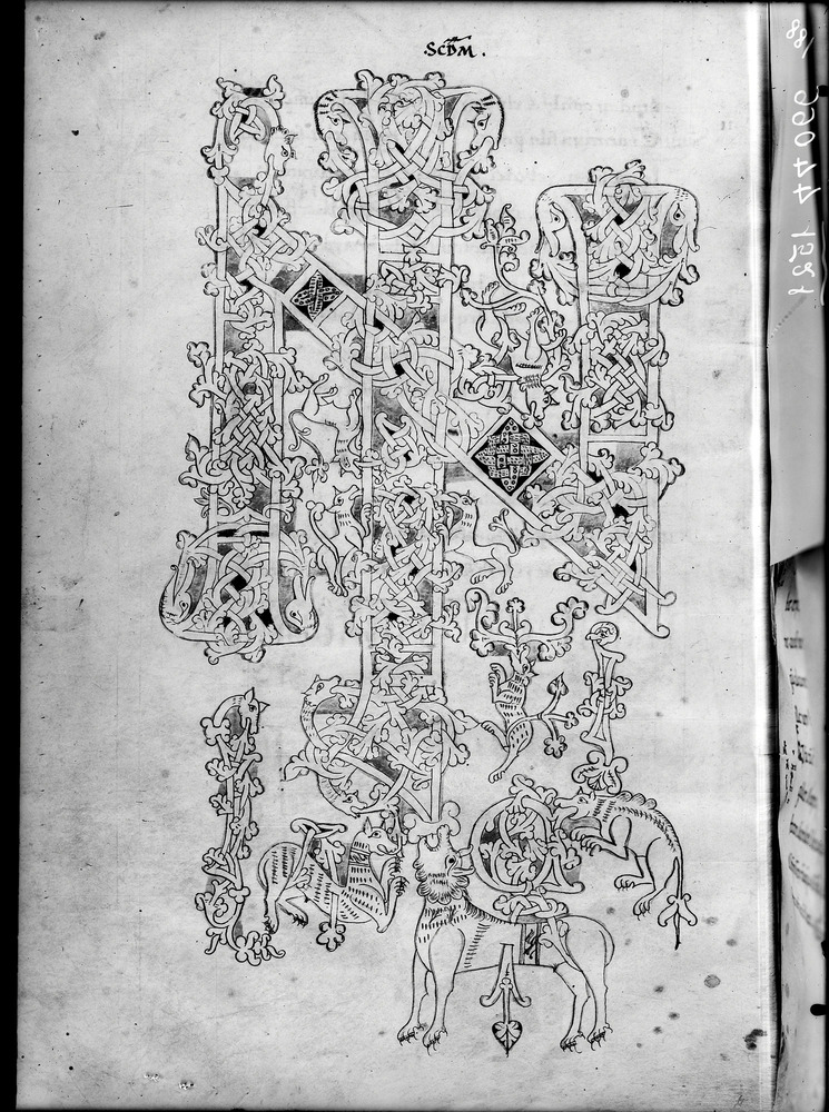 Roma, Biblioteca Vallicelliana, Ms. E.16
doc_01521
Keywords: Vallicelliana Ms. E.16, Decorazioni zoomorfe, 11. sec., 12. sec., Vallicelliana
