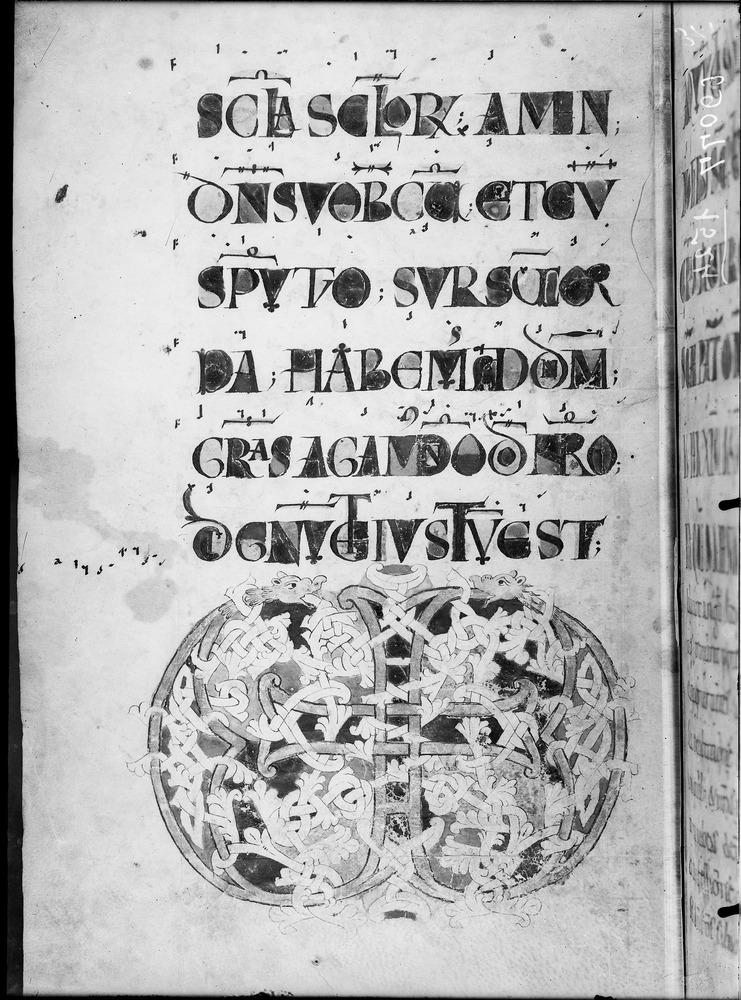Roma, Biblioteca Vallicelliana, Ms. B.24/1
doc_01524
Keywords: Vallicelliana Ms. B.24/1, 11. sec., Vallicelliana