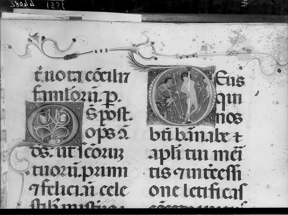 Salerno, Museo Diocesano, Ms. 492
doc_01537
Keywords: Salerno M Diocesano Ms. 492, Salerno M Diocesano