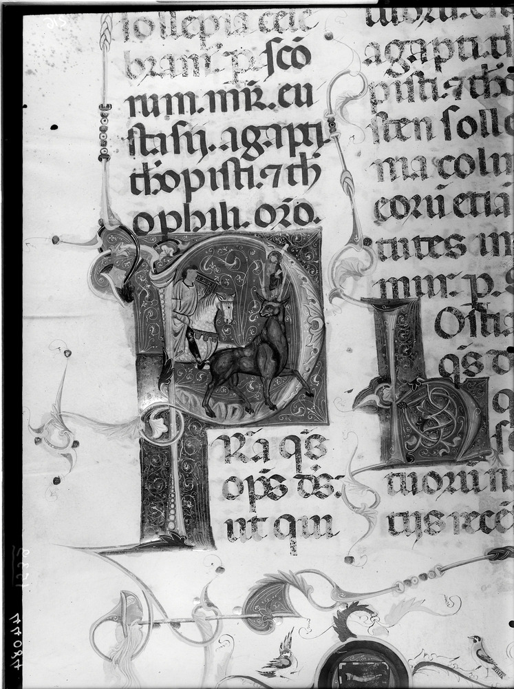 Salerno, Museo Diocesano, Ms. 492
doc_01539
Keywords: Salerno M Diocesano Ms. 492, Salerno M Diocesano