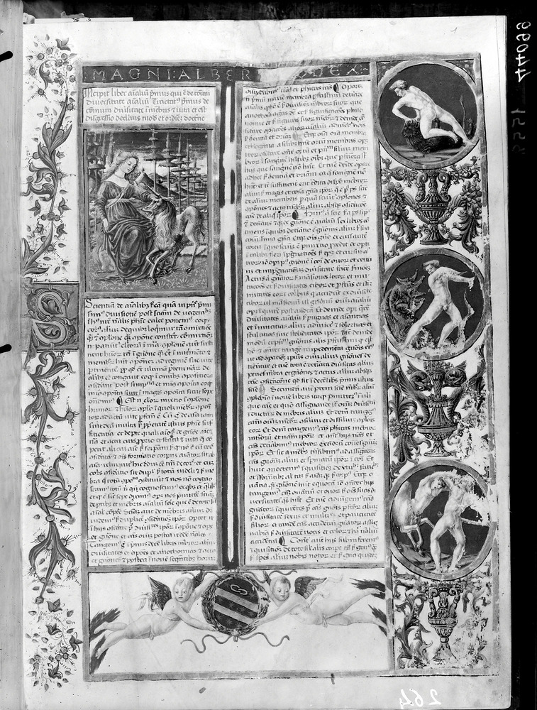 Albertus Magnus, In libros 26. Siena, Biblioteca San Bernardino (già Biblioteca del Convento dell'Osservanza di Siena)
doc_01558
Keywords: Siena B S. Bernardino, Gruppo 4621, Stemmi, Siena B S. Bernardino