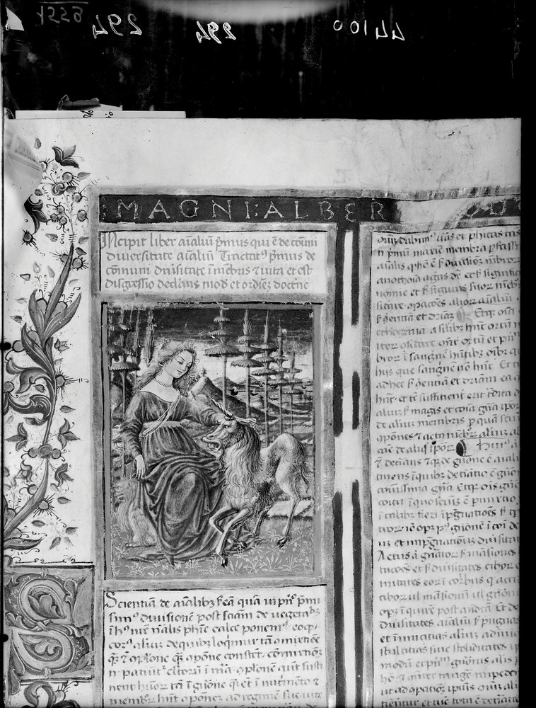 Albertus Magnus, In libros 26. Siena, Biblioteca San Bernardino (già Biblioteca del Convento dell'Osservanza di Siena)
doc_01559
Keywords: Siena B S. Bernardino, Gruppo 4621, Siena B S. Bernardino