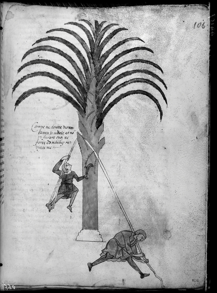 Torino, Biblioteca Nazionale Universitaria, Ms. I.II.1
doc_01565
Keywords: BNU Ms. I.II.1, 12. sec., BNU