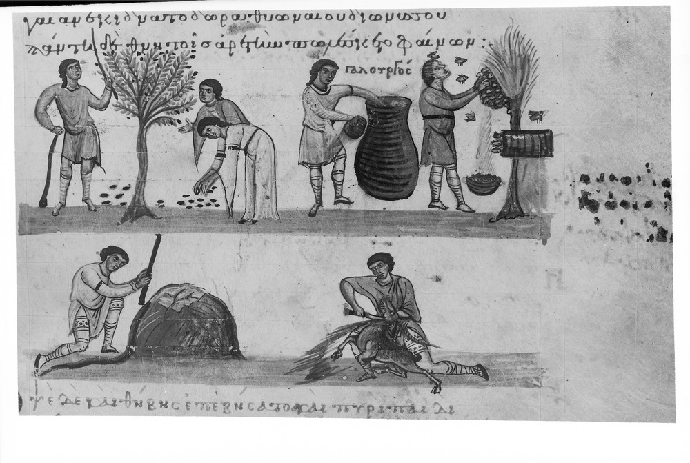 Venezia, Biblioteca Nazionale Marciana, Gr. Z. 479 (=881)
doc_01592
Keywords: BNM Gr. Z. 479 (=881), 11. sec., BNM