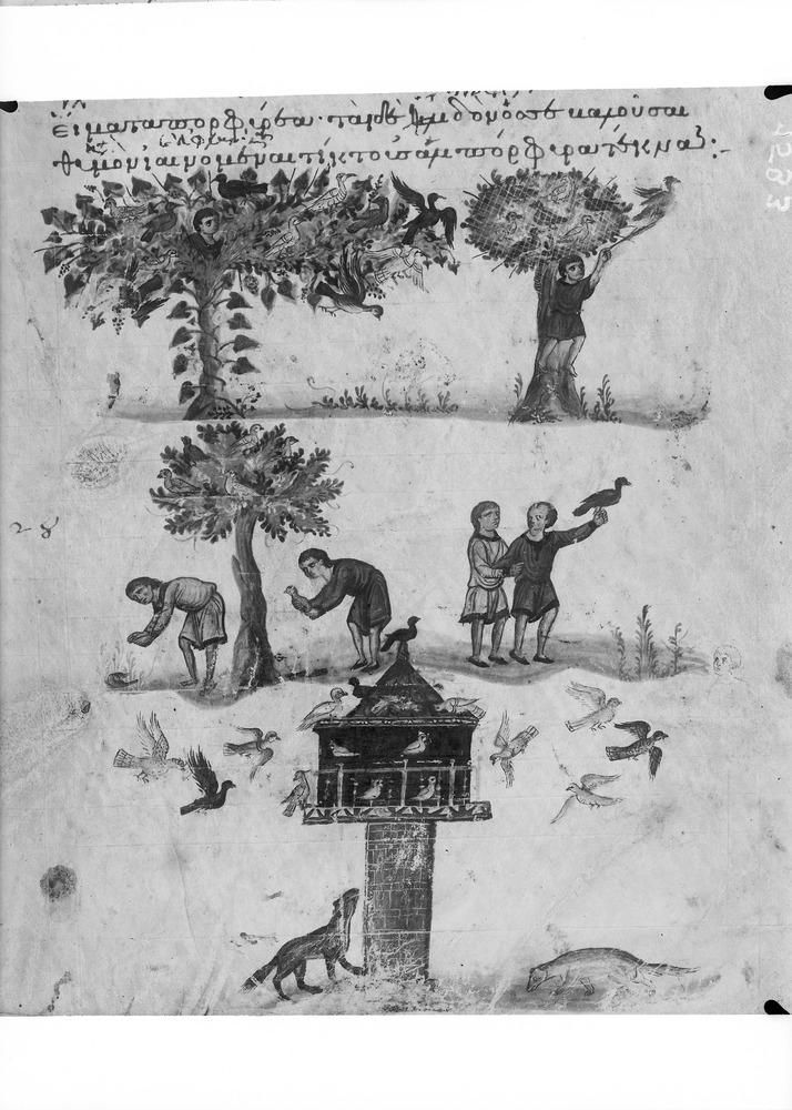 Venezia, Biblioteca Nazionale Marciana, Gr. Z. 479 (=881)
doc_01593
Keywords: BNM Gr. Z. 479 (=881), 11. sec., BNM