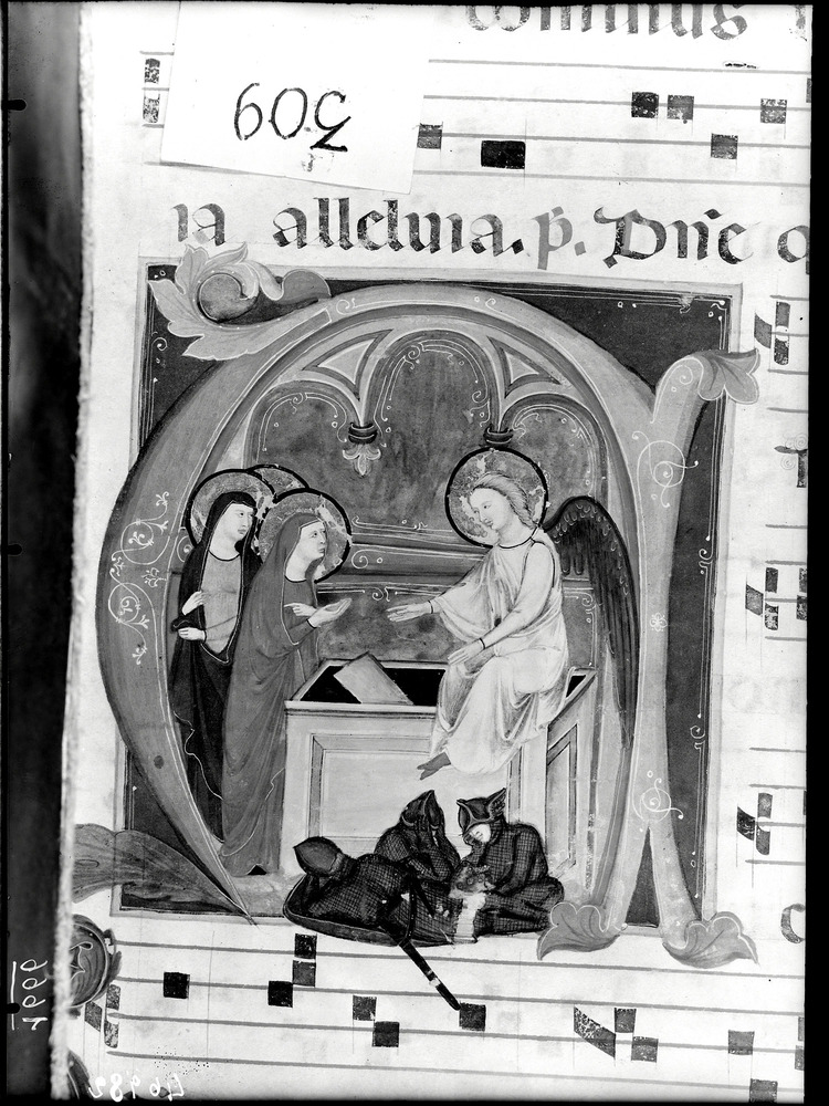 Montevarchi, Insigne Collegiata San Lorenzo, Cor. B
doc_01666
Keywords: Montevarchi Collegita S. Lorenzo Cor. B, Montevarchi Collegita S. Lorenzo