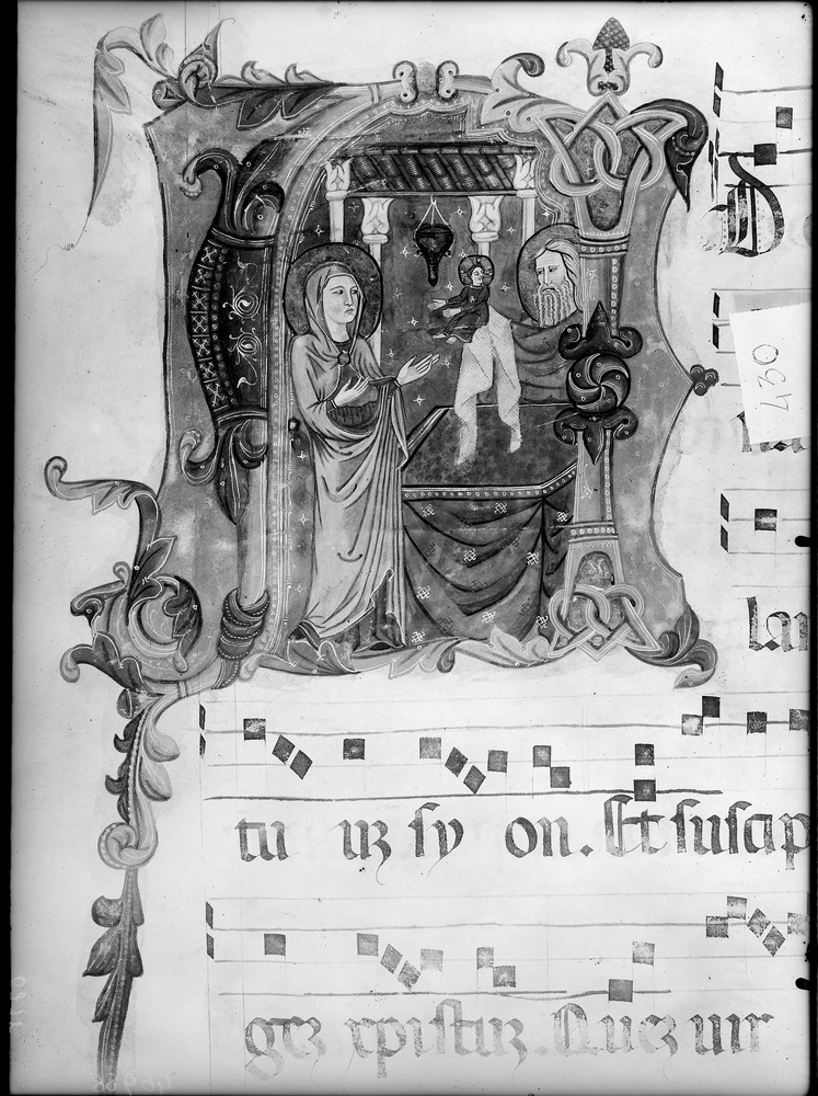 Guardiagrele, Archivio della Chiesa di Santa Maria Maggiore, Ms. VIII
doc_01672
Keywords: Guardiagrele A S. M. Maggiore Ms. VIII, Guardiagrele A S. M. Maggiore