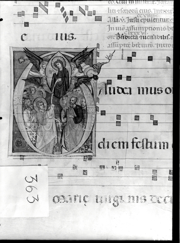 Asciano, Museo Civico Archeologico e d'Arte Sacra Palazzo Corboli, Cor. s.s. [Graduale, 13. sec. (2. metà)]
doc_01692
Keywords: Asciano M Civico Archeologico Cor. s.s. [Graduale 13. sec. (2. metà)], Asciano M Civico Archeologico