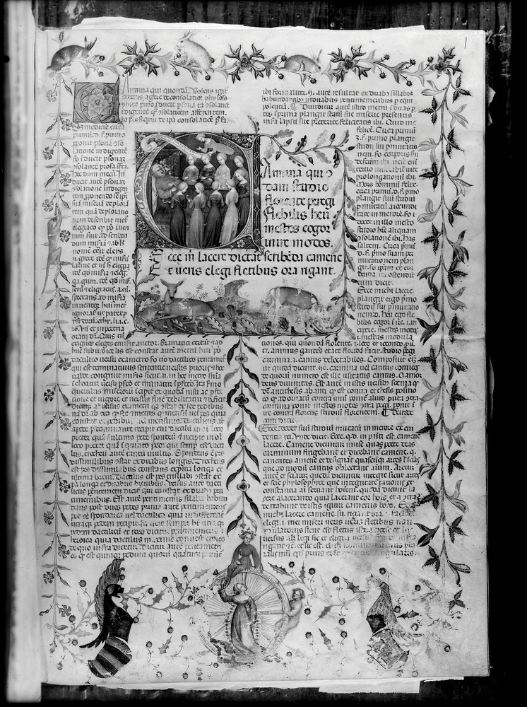 Cesena, Biblioteca Malatestiana, D.XIV.2
doc_03021
Keywords: Malatestiana D.XIV.2, Decorazioni zoomorfe, Malatestiana