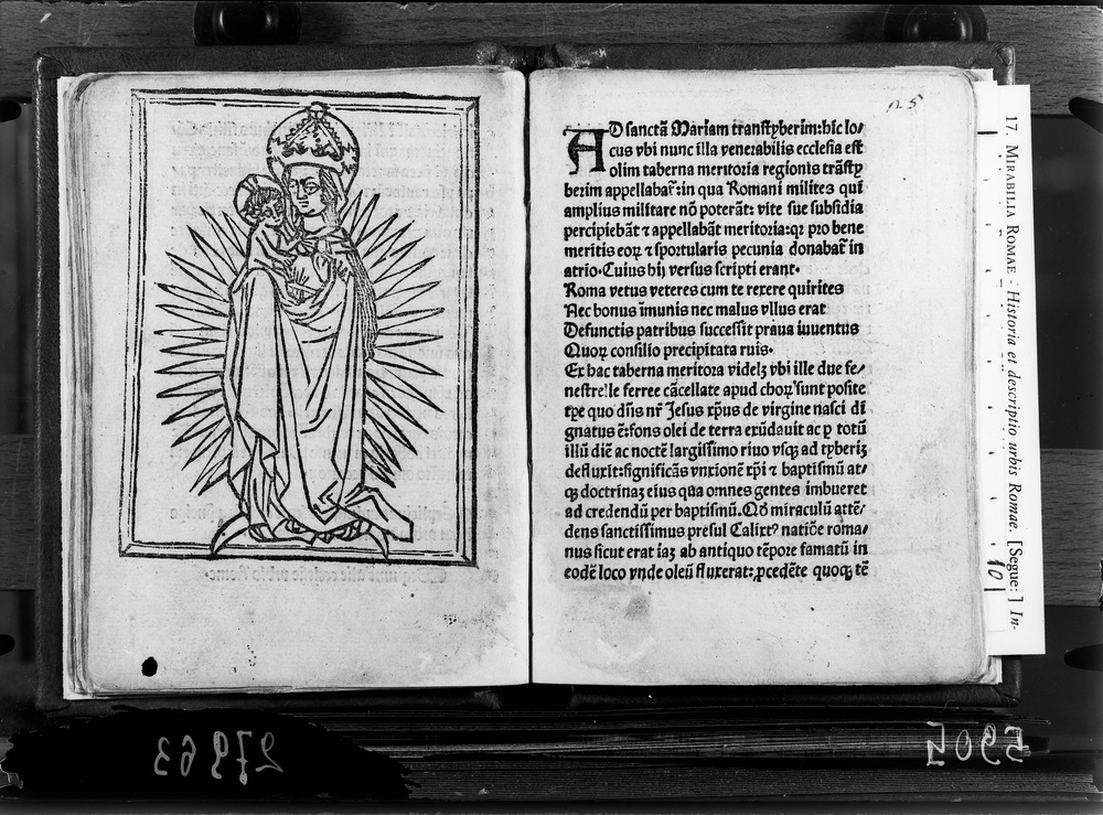 Roma, Biblioteca Nazionale Centrale, 70. 3.F.84 - IGI 6460
doc_05905
Keywords: BNCR 70. 3.F.84, IGI 6460, Incunaboli, BNCR